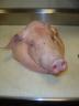 whole pig head