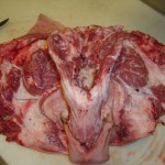 split pigs head